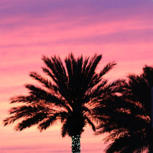 Meet your Posher, Tracey